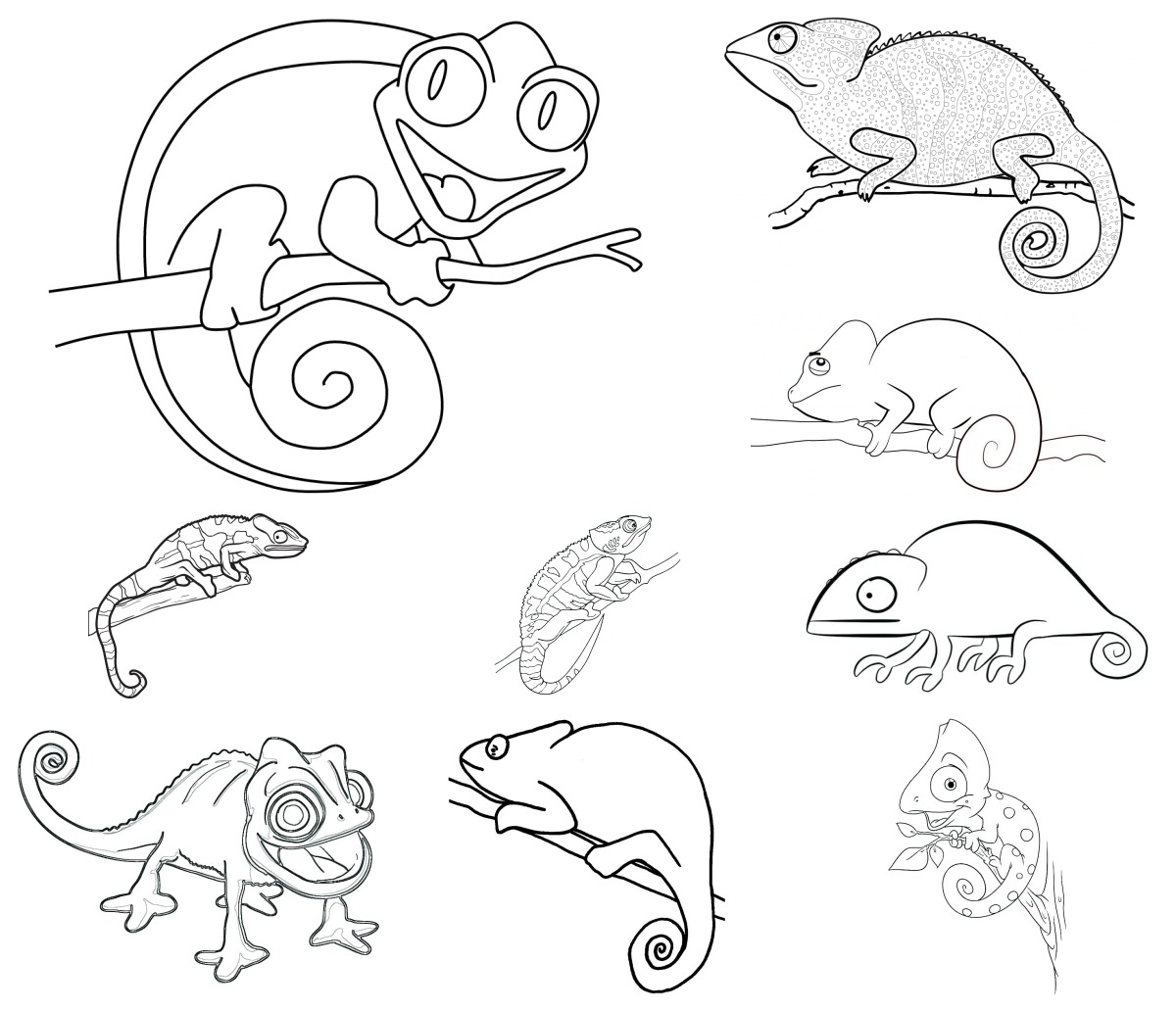 20 desenhos de Camaleão — Para colorir e imprimir 20 desenhos de Camaleão — Para colorir e imprimir