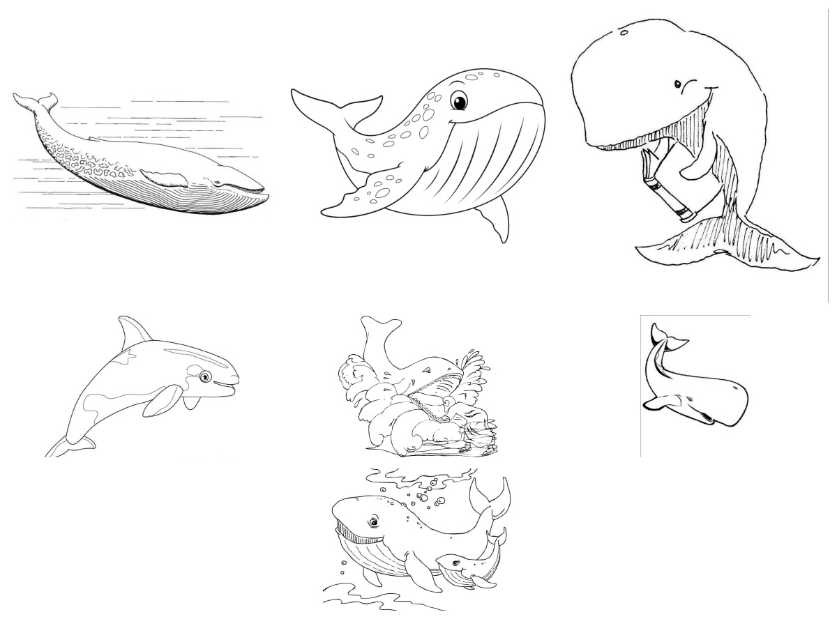 20 desenhos de Baleias — Para colorir e imprimir