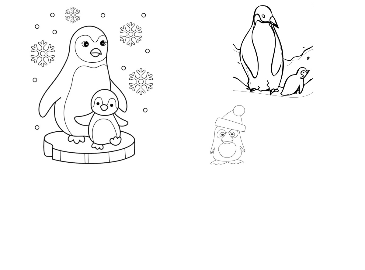 14 desenhos de Pinguins — Para colorir e imprimir