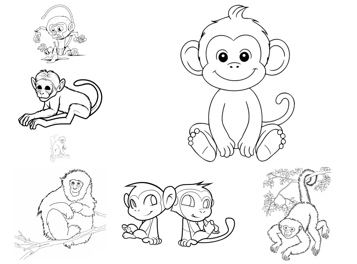 23 desenhos de Macacos — Para colorir e imprimir