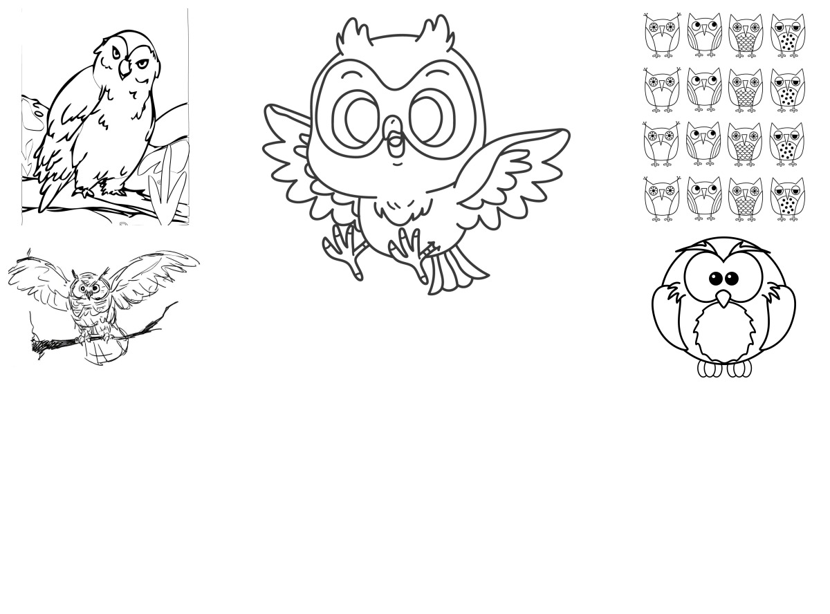 35 desenhos de Corujas — Para colorir e imprimir
