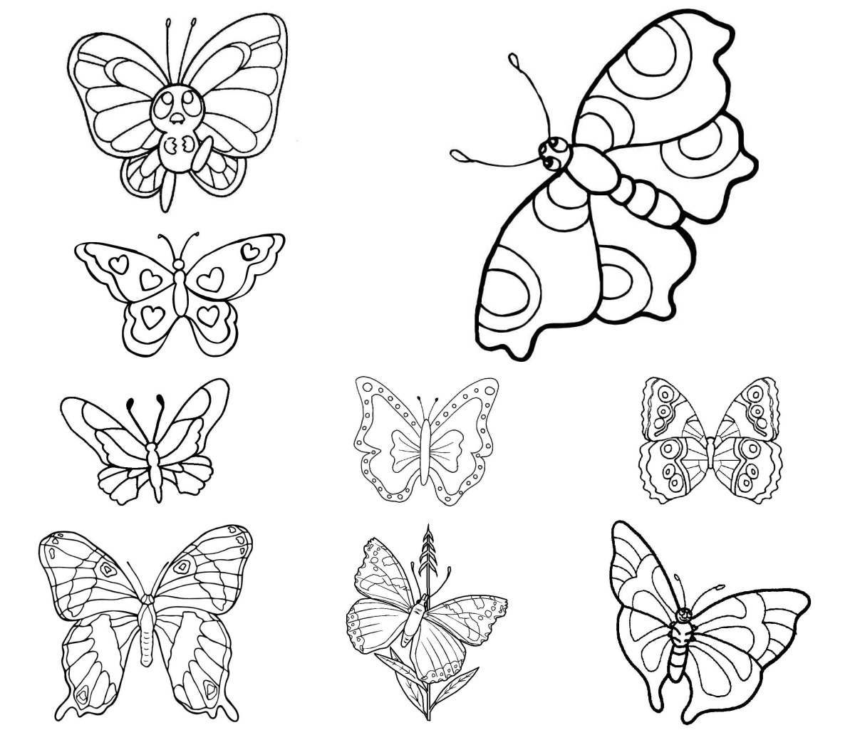 16 desenhos de Borboletas — Para colorir e imprimir