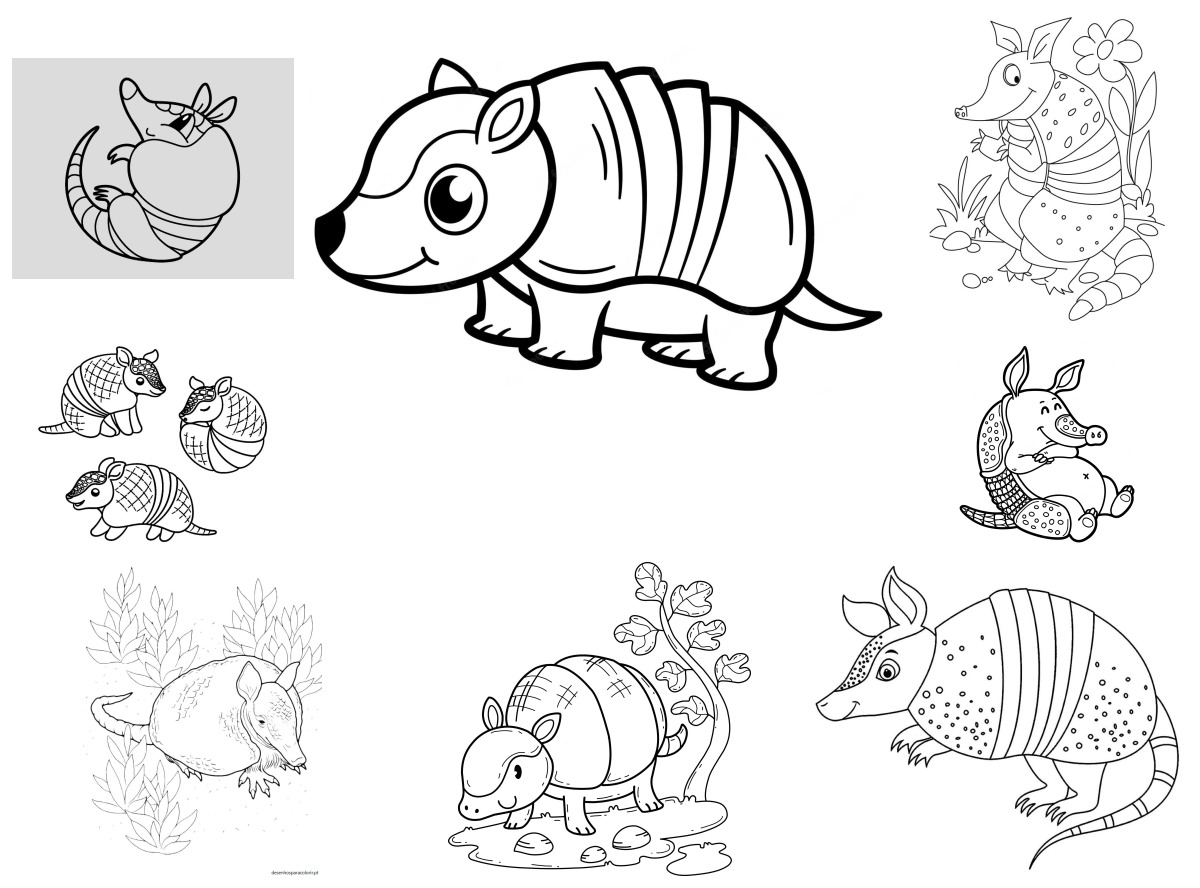 11 desenhos de Tatu — Para colorir e imprimir