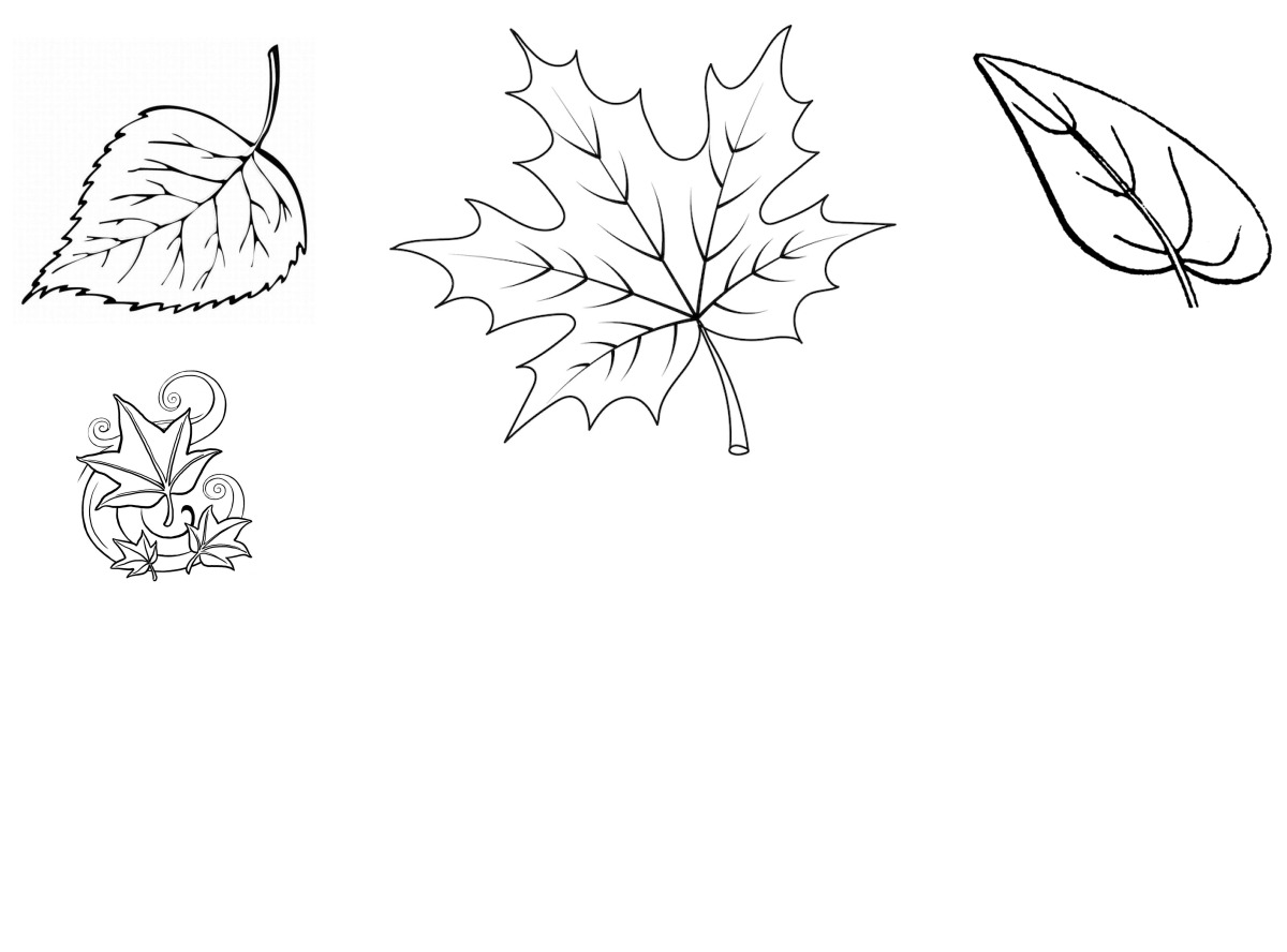 12 desenhos de Folhas — Para colorir e imprimir 12 desenhos de Folhas — Para colorir e imprimir
