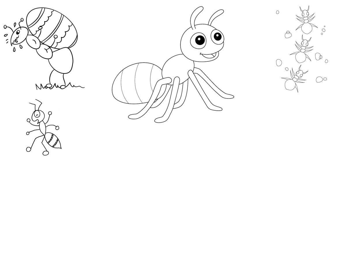 26 desenhos de Formigas — Para colorir e imprimir