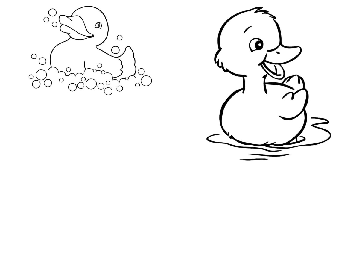 16 desenhos de Patinhos — Para colorir e imprimir