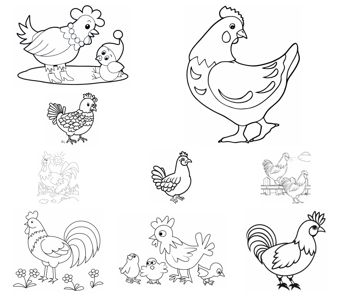 34 desenhos de Galinhas — Para colorir e imprimir
