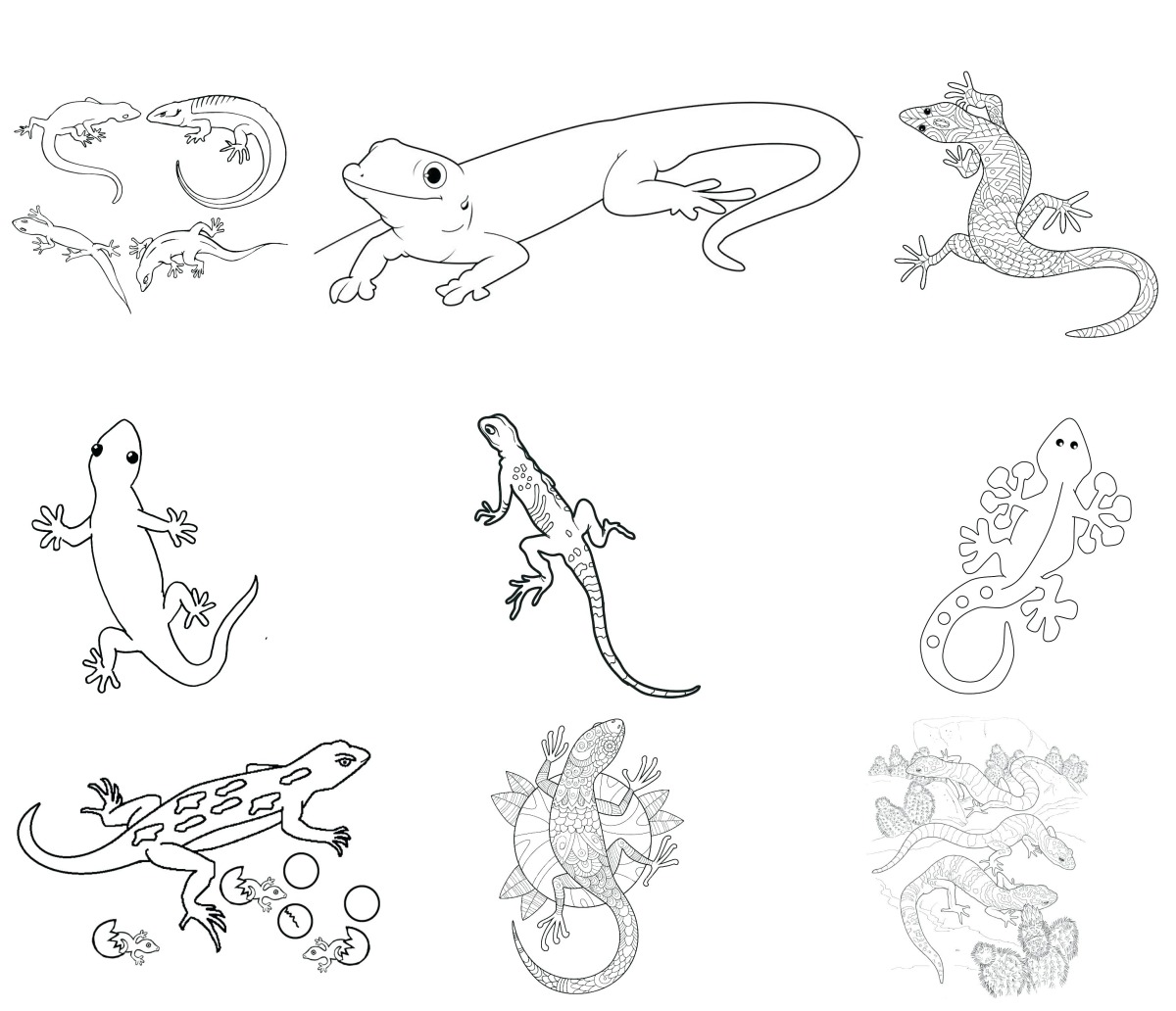 20 desenhos de Lagartixa — Para colorir e imprimir