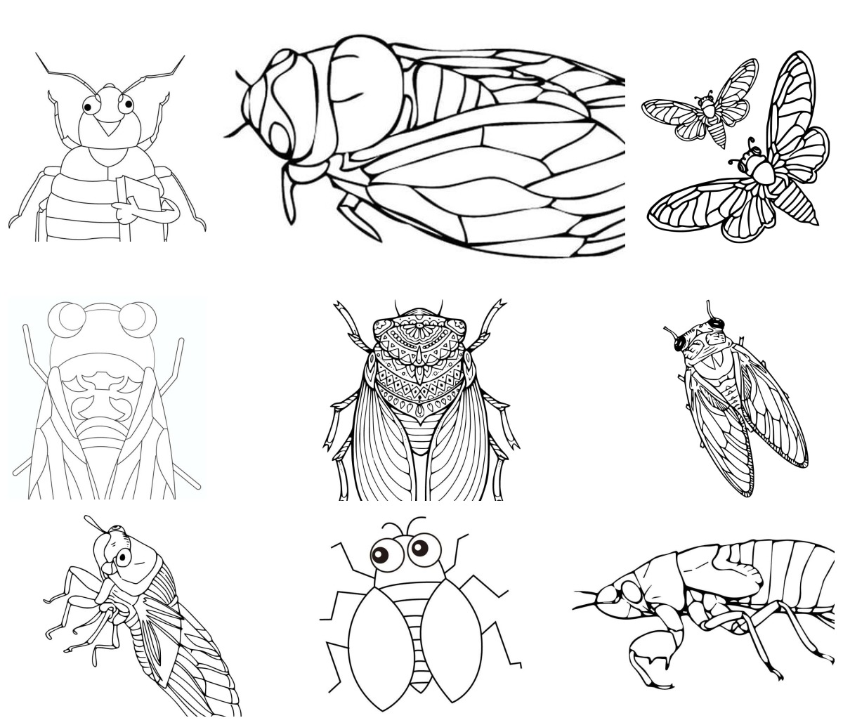 16 desenhos de Cigarra — Para colorir e imprimir