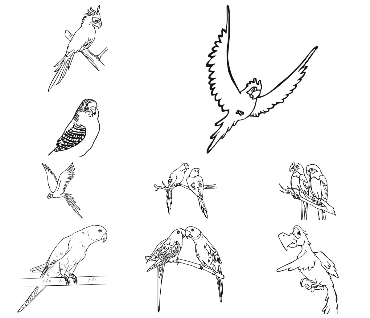 16 desenhos de Periquito — Para colorir e imprimir 16 desenhos de Periquito — Para colorir e imprimir