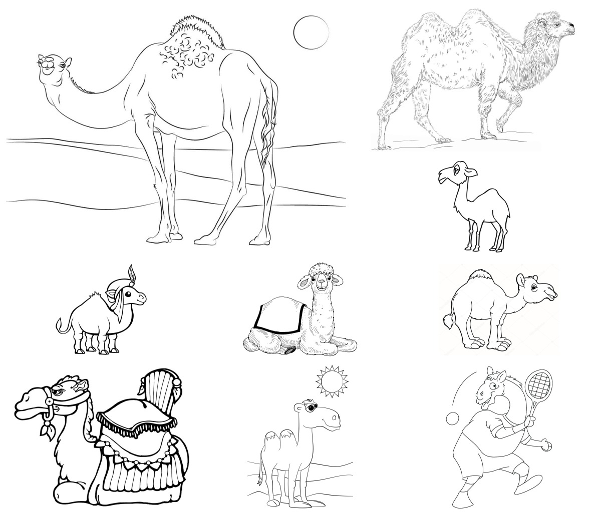 15 desenhos de Camelo — Para colorir e imprimir