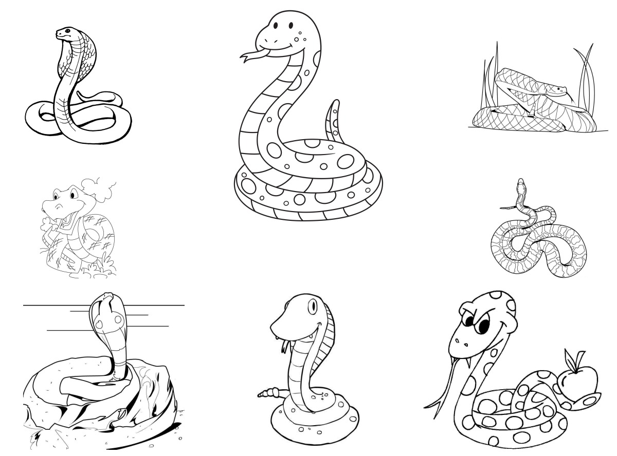 14 desenhos de Cobras — Para colorir e imprimir 14 desenhos de Cobras — Para colorir e imprimir