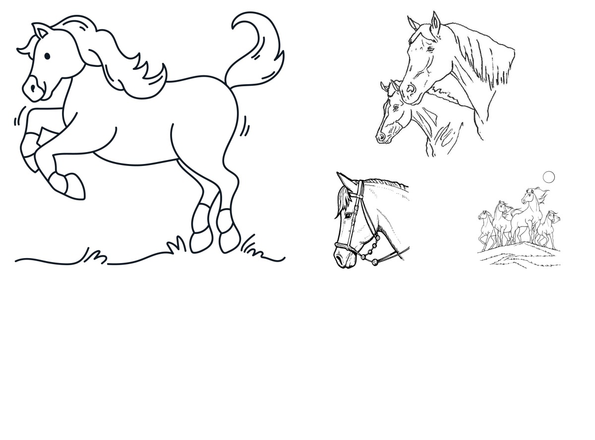 23 desenhos de Cavalos — Para colorir e imprimir 23 desenhos de Cavalos — Para colorir e imprimir
